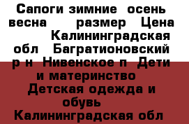 Сапоги зимние, осень-весна 29-31размер › Цена ­ 500 - Калининградская обл., Багратионовский р-н, Нивенское п. Дети и материнство » Детская одежда и обувь   . Калининградская обл.